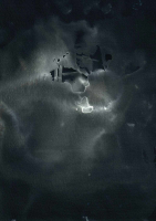 http://www.actionaqua.com/files/gimgs/th-113_bodensee  14invert.jpg